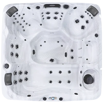 Avalon EC-867L hot tubs for sale in Charlotte